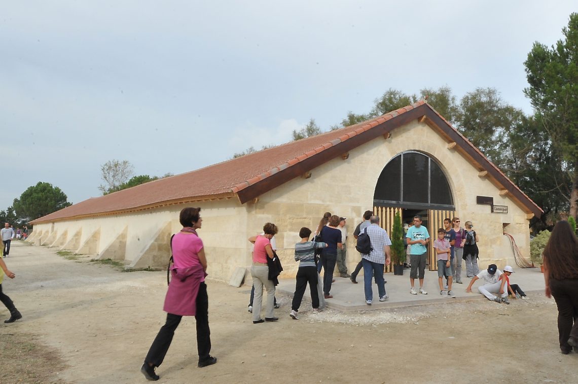 Musée de Camargue Agence Scarabée