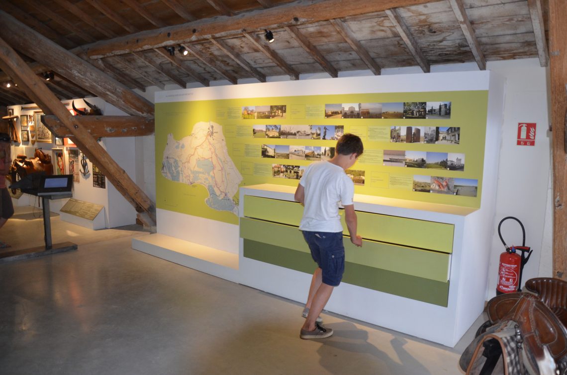 Musée de Camargue Agence Scarabée