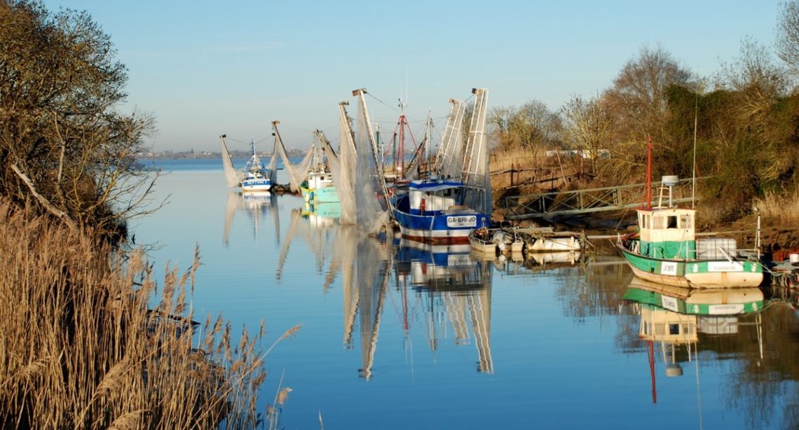 Route De L’estuaire De La Gironde - Blaye - Royan