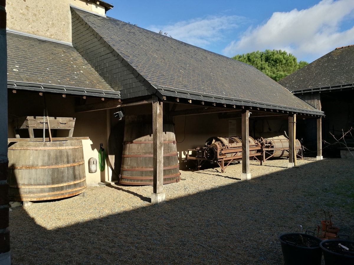 musée vin saint lambert du lattay - la cour