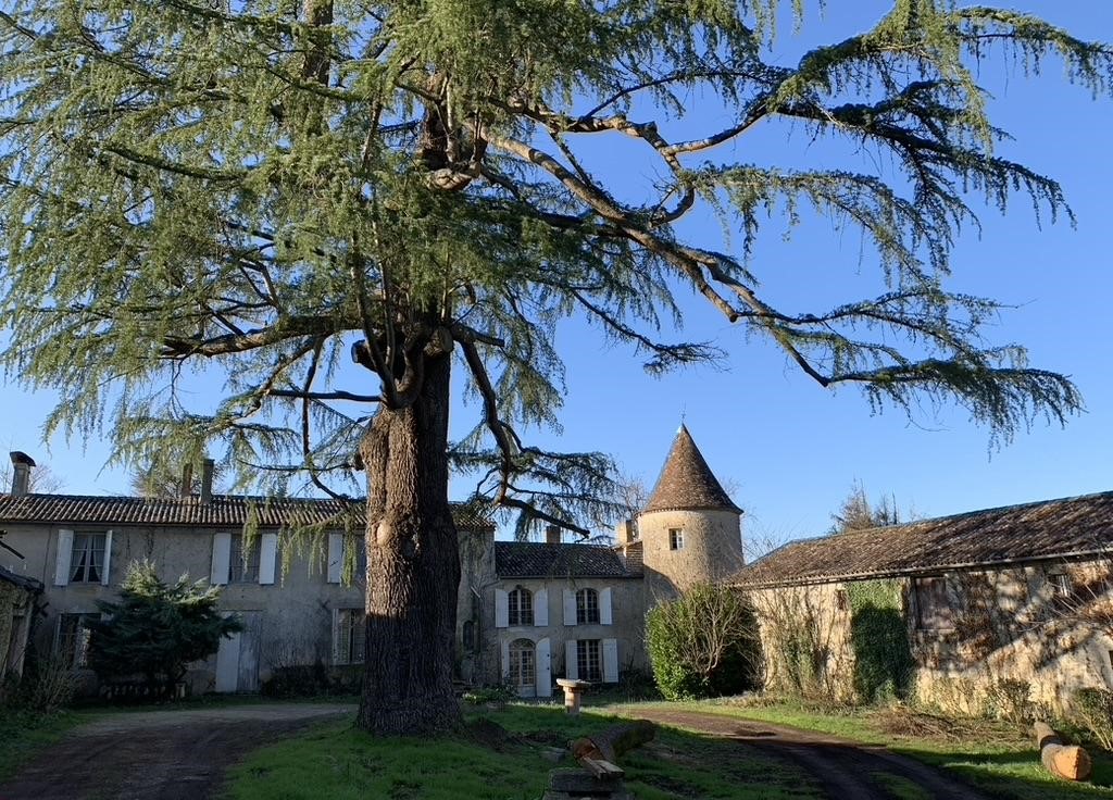 château Lantic - Agence Scarabée